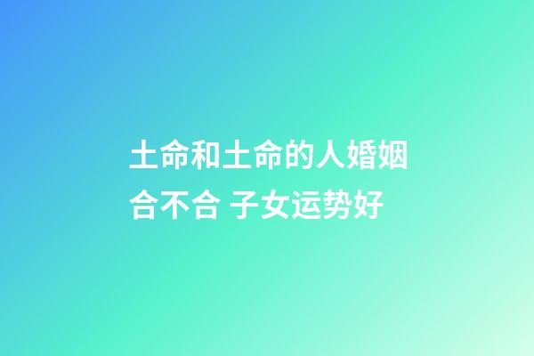 土命和土命的人婚姻合不合 子女运势好